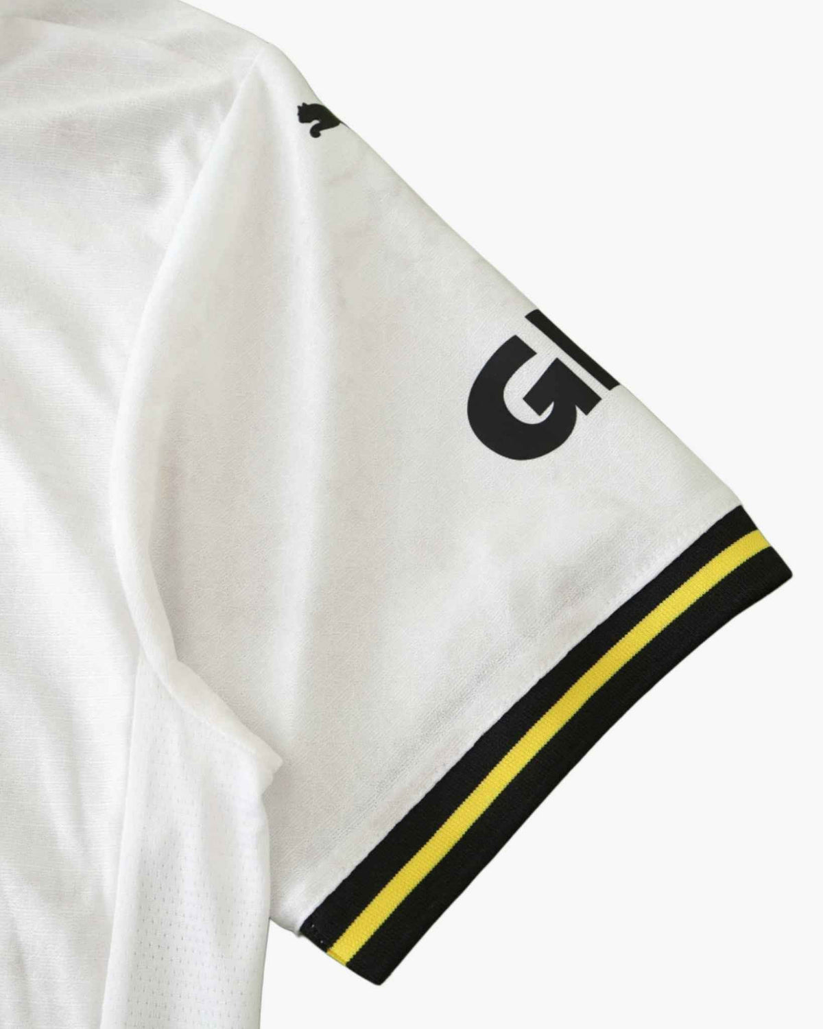 DORTMUND THIRD 2024/25