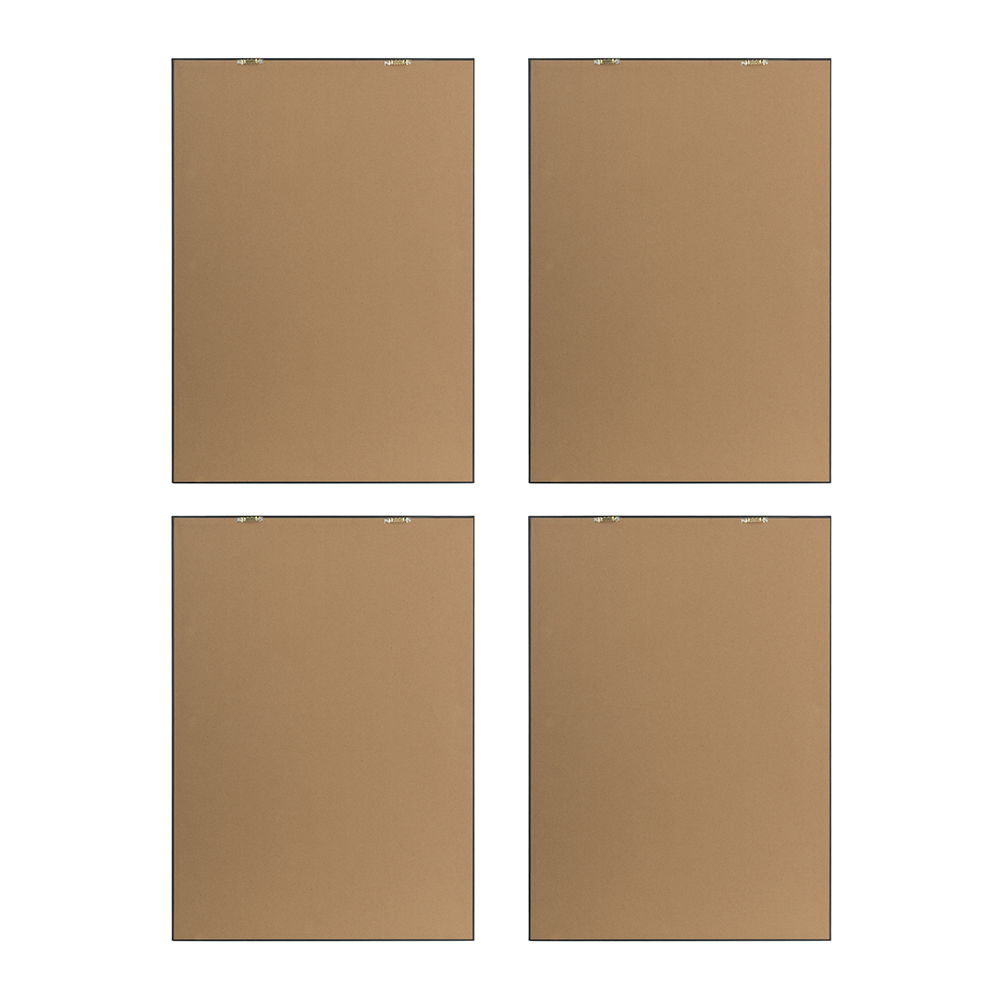 Botanical And Fern Wall Art, Wall Decor For Living Room Dining Room Entryway (Set of 4) - White / Black