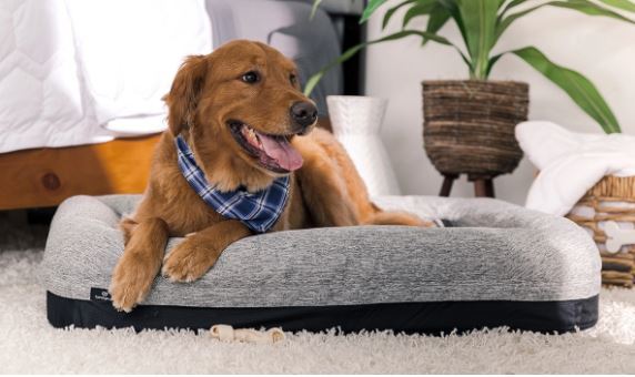 BedGear Performance Pet Bed, Small