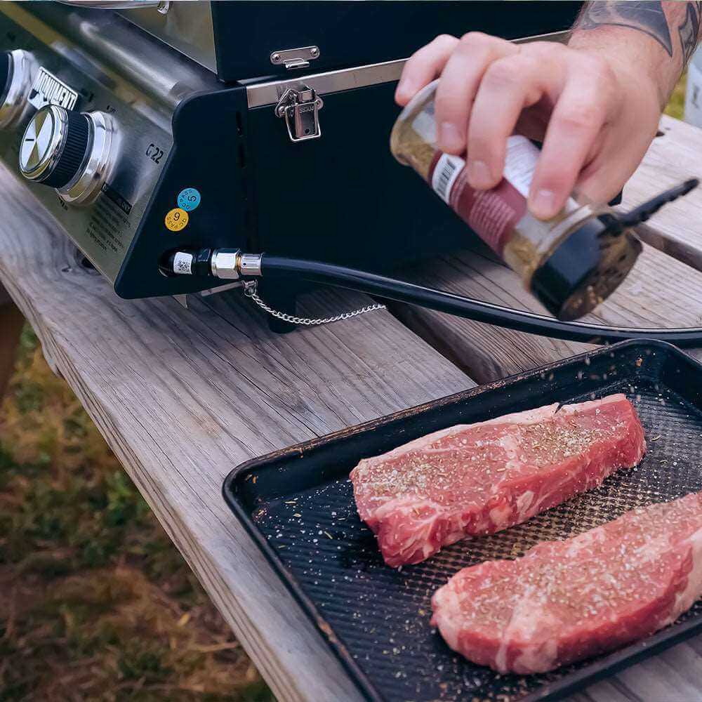 G22 | Stainless Tabletop Propane Gas Grill