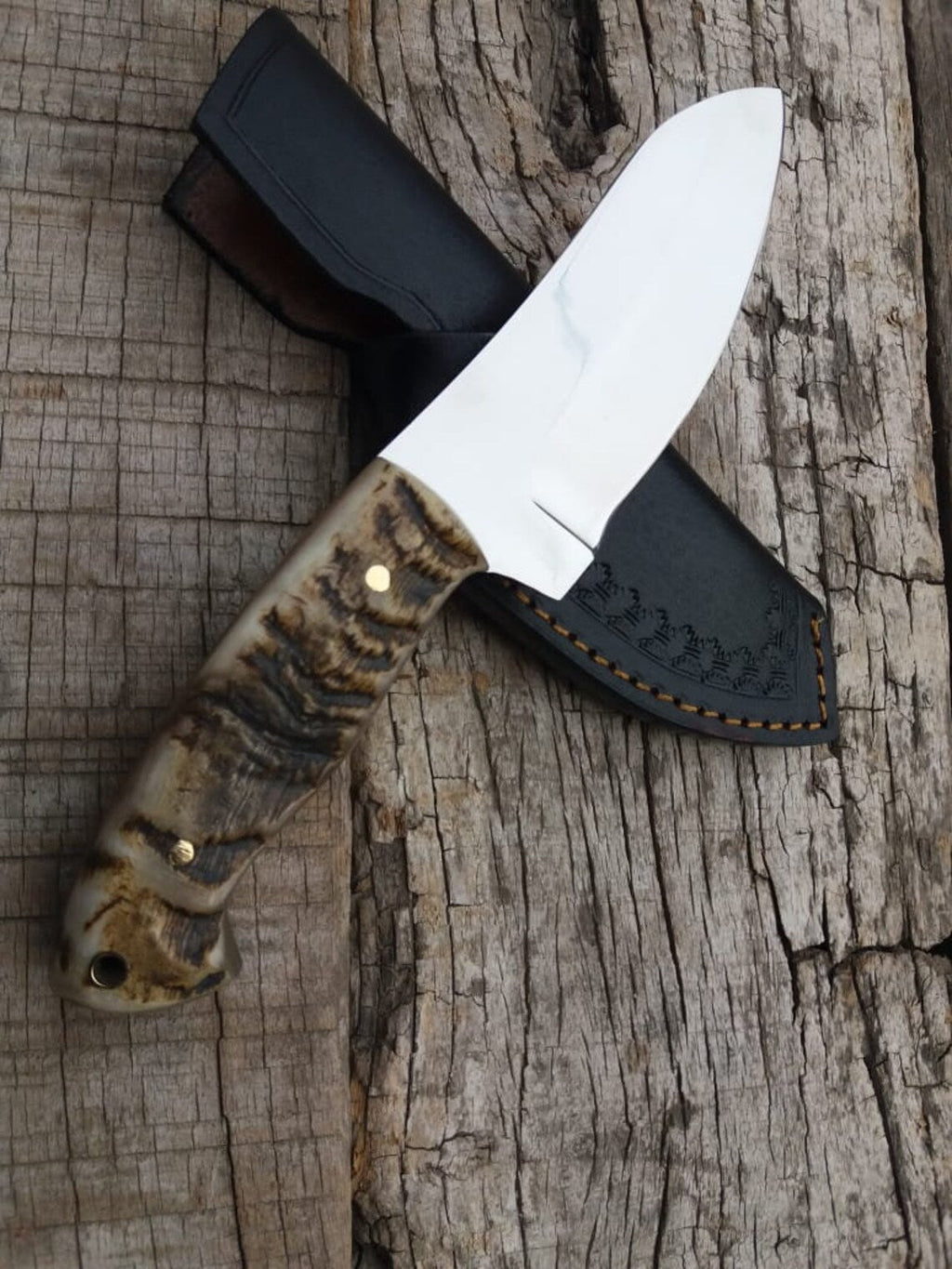 Custom Handmade D2 Steel Hunting Knife with Mountain Sheep Horn Handle – 8.5" | KBS Knives