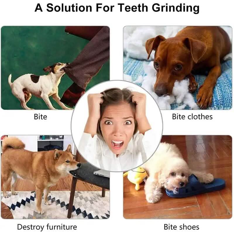 Interactive Elastic Puppy Chew Toy