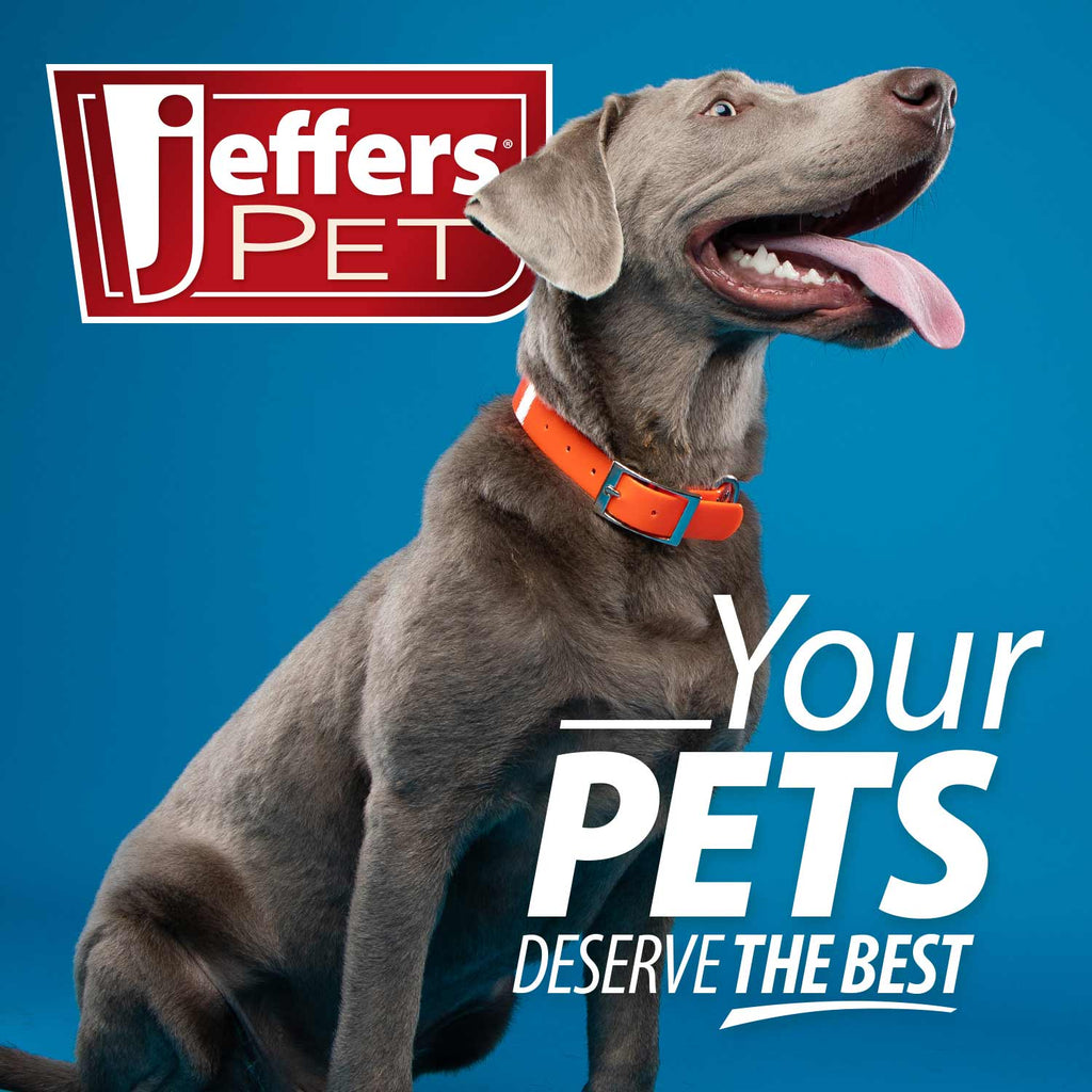 Jeffers Professional Stainless Steel Pet Grooming Shears
