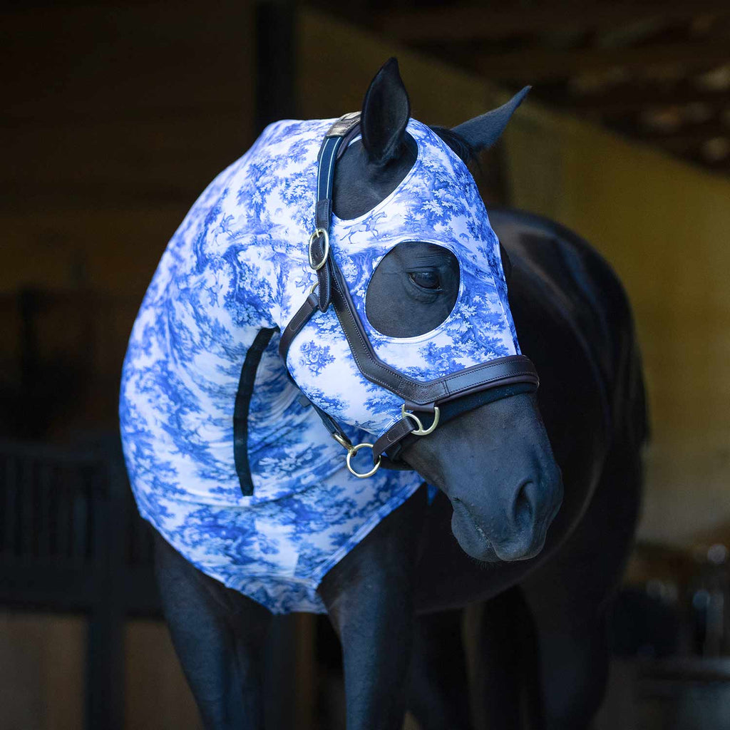 Jeffers Expression Lycra Hood for Horses