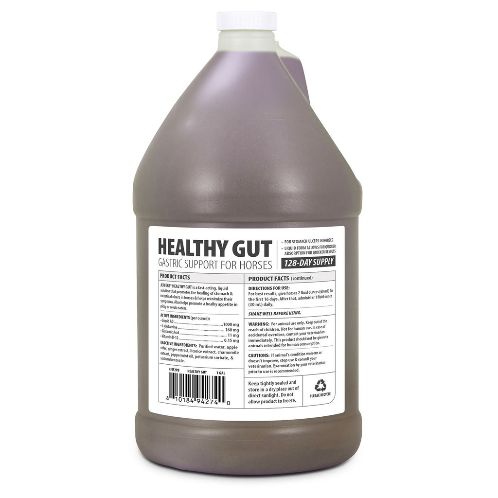 Jeffers Healthy Gut Gastric Support Liquid Supplement for Horses