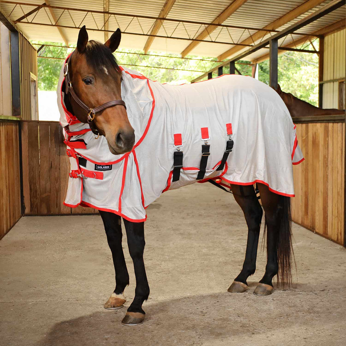 Jeffers Solaris Horse Fly Sheet with Detachable Neck, Grey & Red