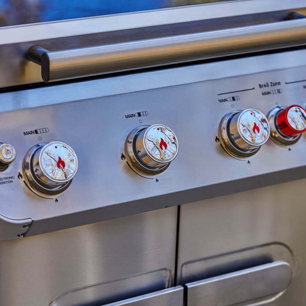 Mesa 415BZ | Stainless Propane Gas Grill