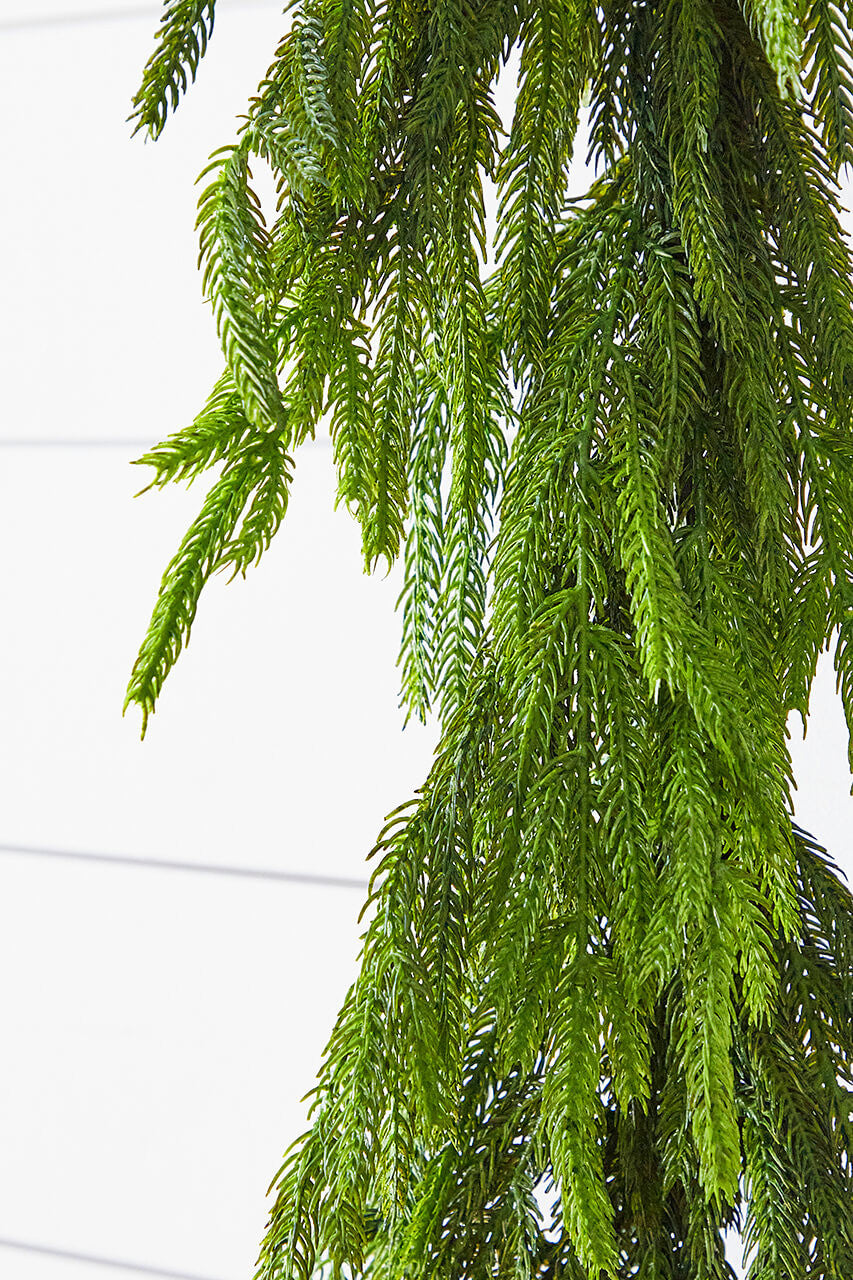 60'' Real Touch Norfolk Pine Christmas Garland