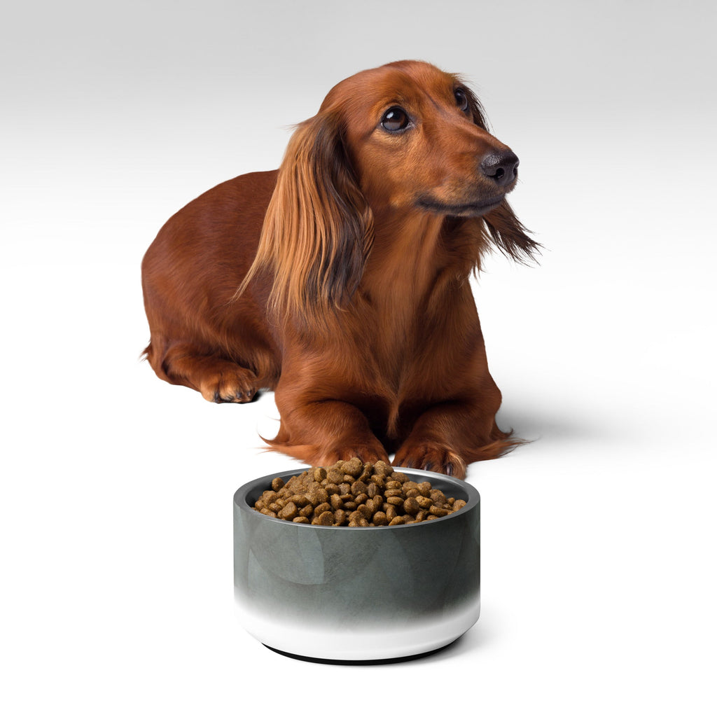 Sebastian & Clementine Gray Circles Pet Bowl
