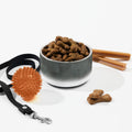 Sebastian & Clementine Gray Circles Pet Bowl