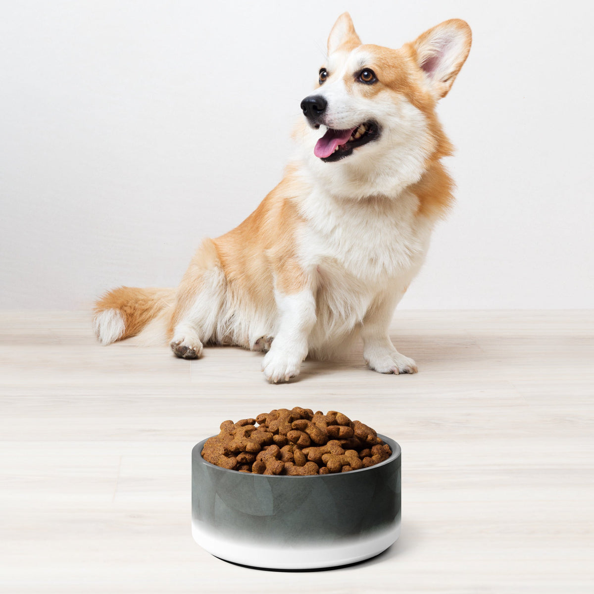 Sebastian & Clementine Gray Circles Pet Bowl