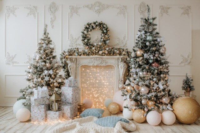 Christmas Backdrops For Photography