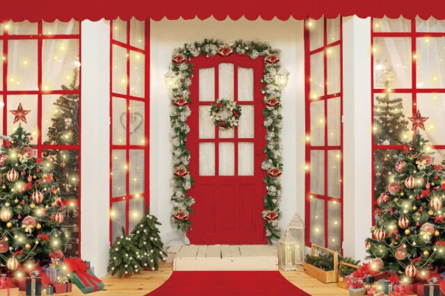 Christmas Backdrops For Photography