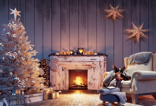 Christmas Backdrops For Photography