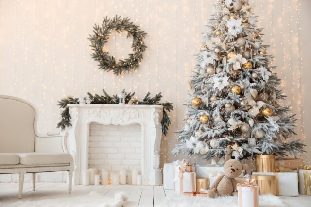 Christmas Backdrops For Photography
