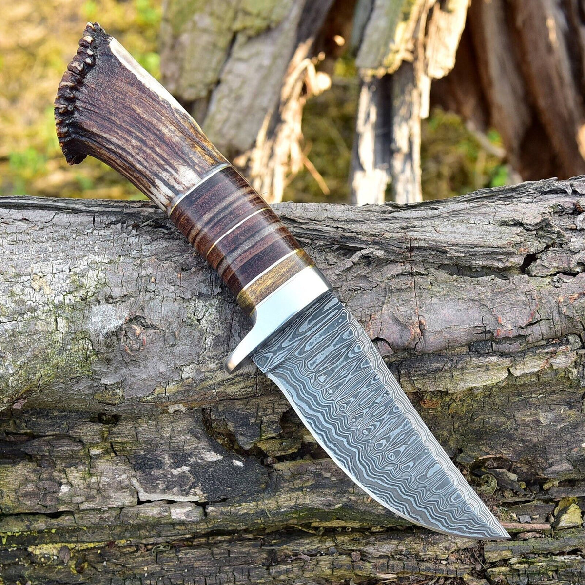 Custom Handmade Damascus Steel Hunting Knife with Rosewood, Stag Horn and Steel Guard Handle - 9 Inches by KBS Knives Store