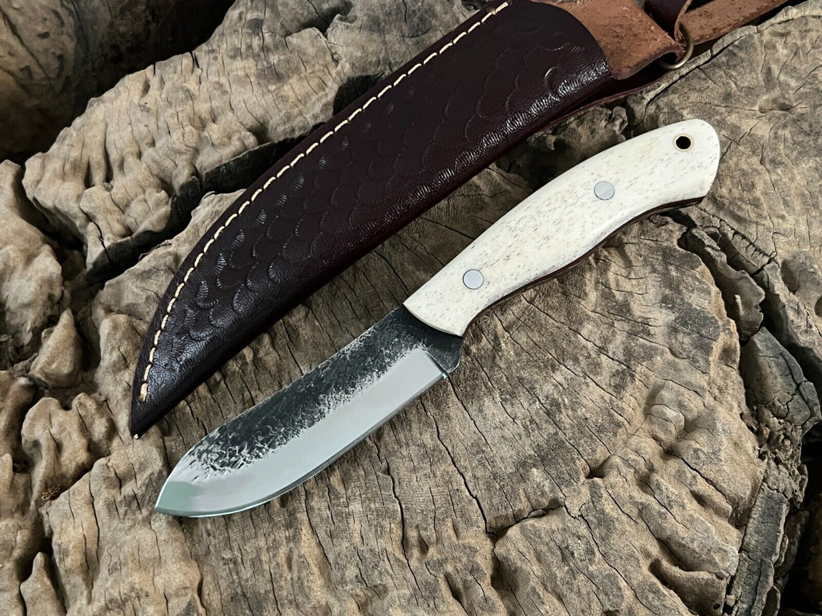WildEdge High-Carbon Steel Bushcraft Knife – 8-Inch Survival Blade with Bone Handle