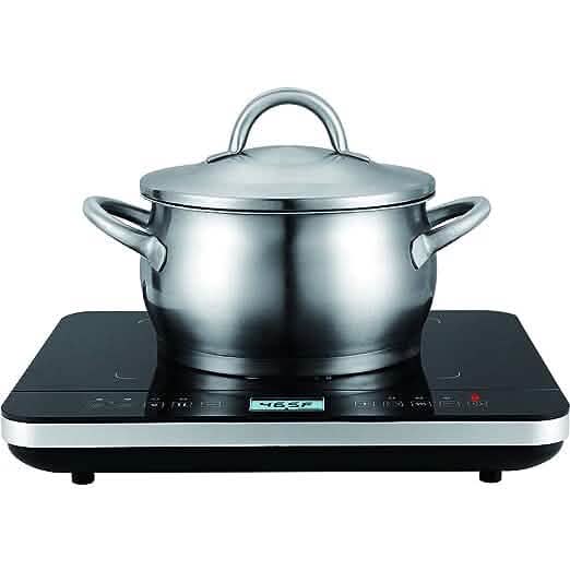 Salton Induction Cooktop with Temperature Probe