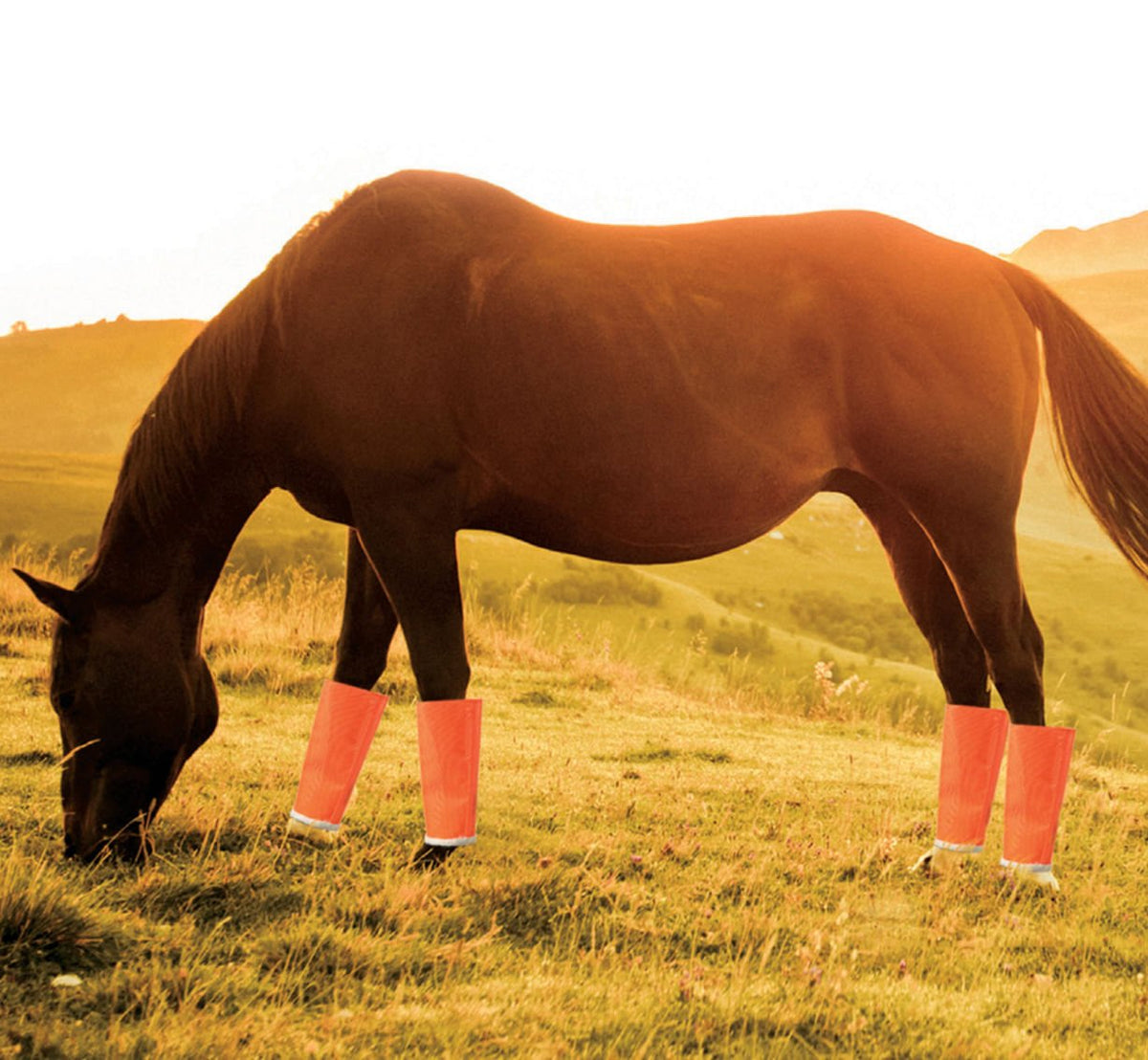Shoofly Leggins Fine Mesh Fly Boots for Horses, 4 Pack