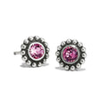 Rose Twinkle Mini Post Stud Earrings