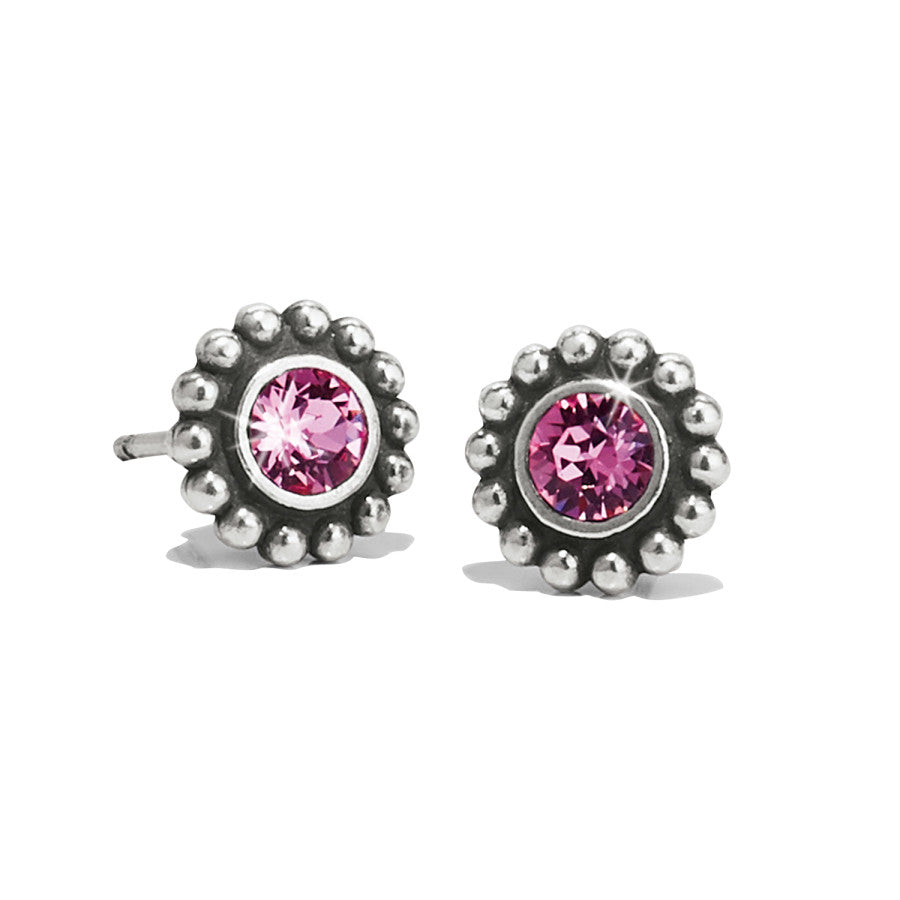 Rose Twinkle Mini Post Stud Earrings