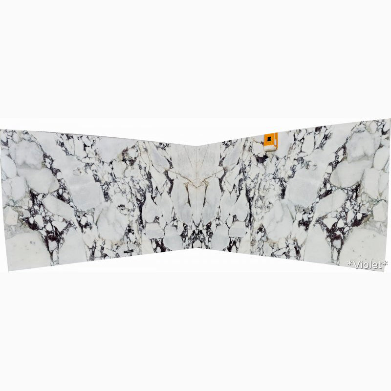 Calacatta Viola White Bookmatching Marble Slabs Polished - Full Truckload