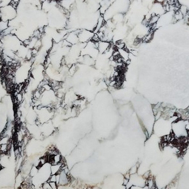 Calacatta Viola White Bookmatching Marble Slabs Polished - Full Truckload