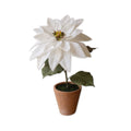 White Artificial Poinsettia in Cement Pot